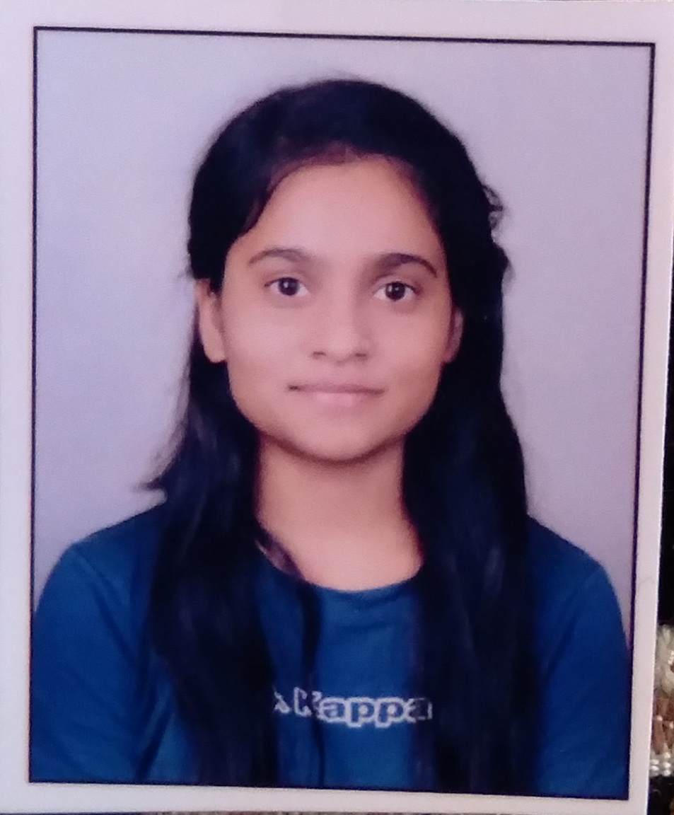 PLACEMENT BROUCHER Abhinav Education Society s Institute Of Placement broucher abhinav education society s institute of